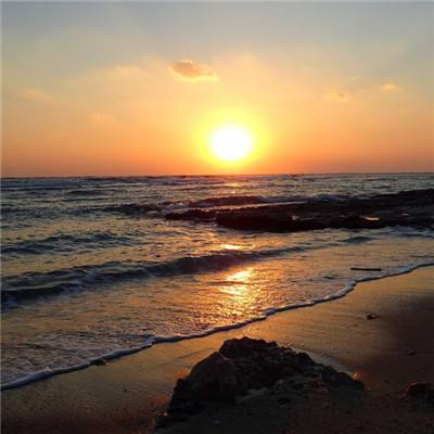 b体育安卓下载官网