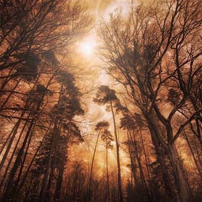 香港资料大全手机app下载