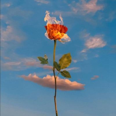 皇冠手机登录地址hg