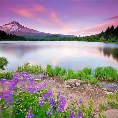 牛牛游戏网app下载